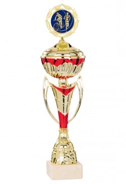 Coupe trophée personnalisable à votre sport - Achat/Vente