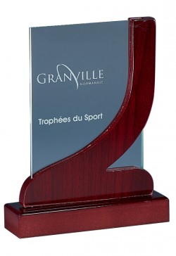 Trophée Verre/Bois Personnalisé 163-61-CLI