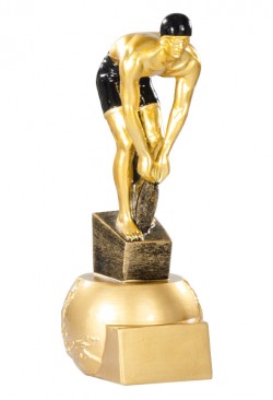 Trophée Natation 71520
