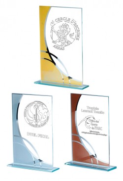 Trophée Verre Personnalisé 162-31-CLI