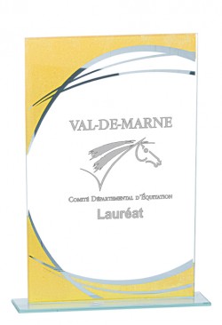Trophée Verre Personnalisé 162-11-CLI