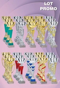 Lot de 30 Coupes : 2026-7