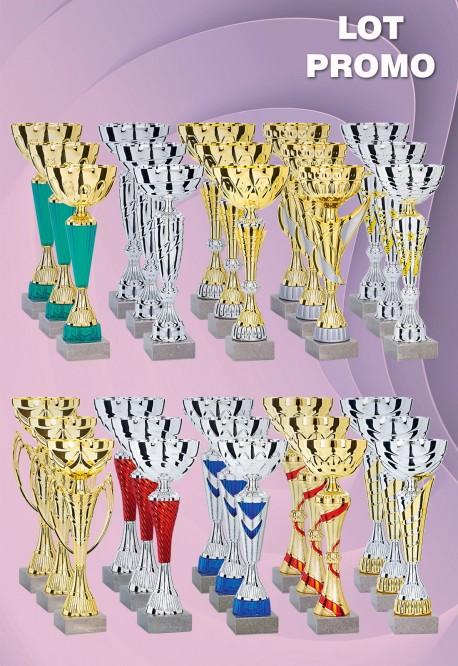 Lot de 30 Coupes : 2026-7