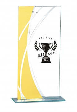 Trophée Verre Personnalisé 160-11-CLI
