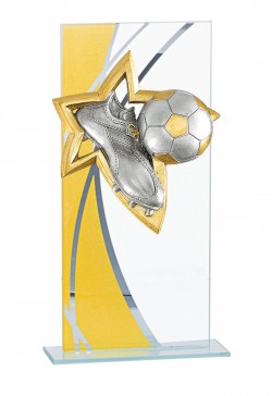 Trophée Verre Personnalisé 130-61-NJ