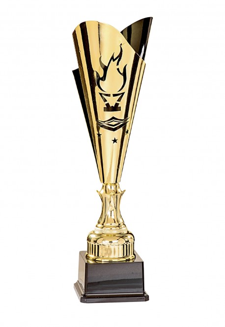 Coupe Laser Métal Flambeau  : 35514