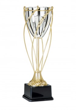 Coupe Prestige Métal : 6371