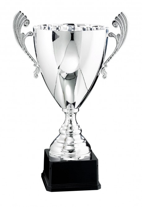 Coupe Prestige Métal : 6521